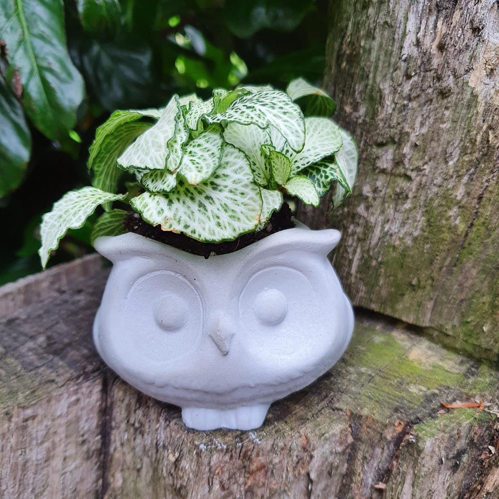 Silikon - Giess Form - Baykuş - Bitki Potu - Çay Işığı ( 	Y/G/D: 6 x 8 x 6 cm )