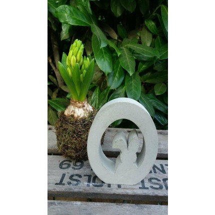 Yumurtada Hase ( 15 x 12 x 3 cm )